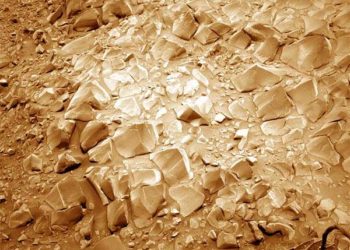 Sol 3421: Close Encounter with a “Gator”