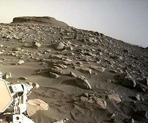 To sample or not to sample