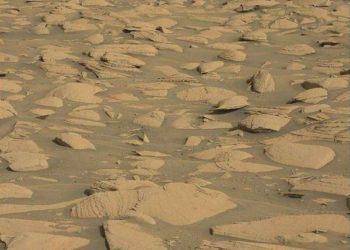 Dusty Skies in the Cloudy Season: Sols 3950-3952