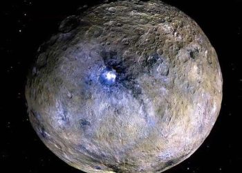 Hypervelocity impact experiments probe the origin of organics on the dwarf planet Ceres