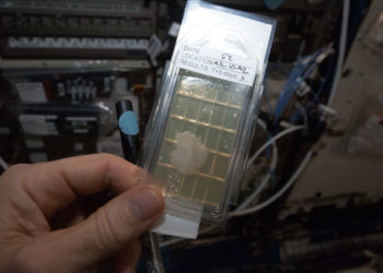 Station Science 101: Microbiology