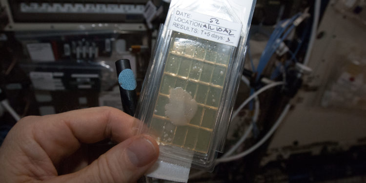 Station Science 101: Microbiology