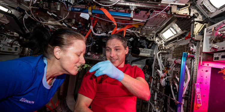 Station Science 101: Growing Plants in Space