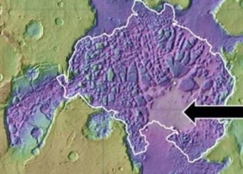 Searching for concentrated biosignatures in an ancient, Martian mud lake