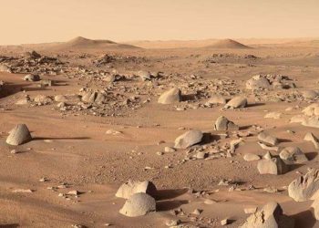 Was There Life on Mars