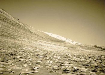 MAHLI Marathon: Sols 4025-4027