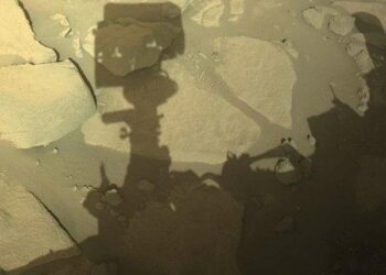 New Year, New images from Perseverance on Mars
