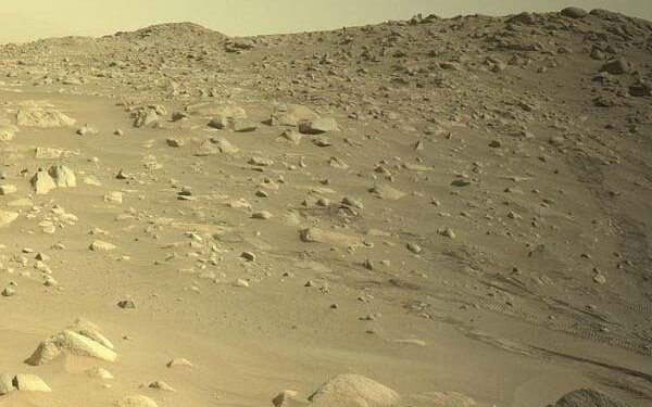 Depositional Processes of the Margin Unit
