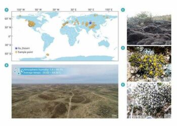 This desert moss has the potential to grow on Mars
