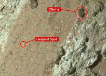 NASA Mars rover captures rock that could hold fossilized microbes