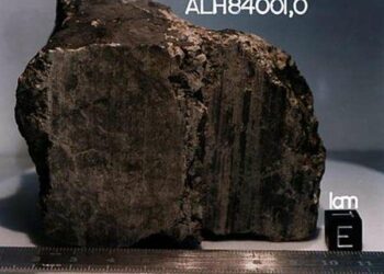 Organic material from Mars reveals the likely origin of life’s building blocks