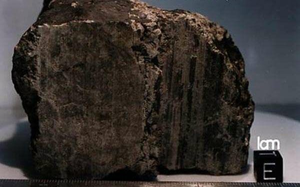 Organic material from Mars reveals the likely origin of life’s building blocks