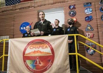 A Yellow Jacket on Mars