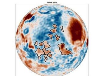 Gravity study of Mars reveals hidden structures and activity beneath Olympus Mons