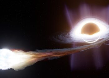 Rule-breaking black hole destroys star in puzzling way: ‘This is truly extraordinary’