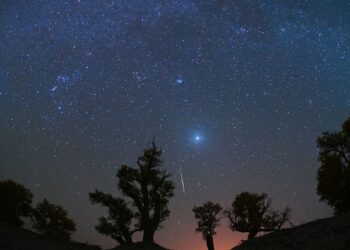 The Orionid meteor shower peaks under dark, moonless skies next week. Here’s how to see it