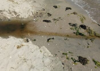 Trump administration is on track to cut 1 in 3 EPA staffers by the end of 2025, slashing agency’s ability to keep pollution out of air and water