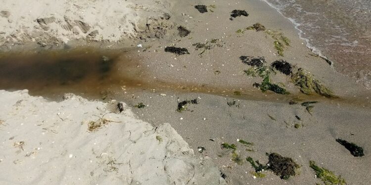 Trump administration is on track to cut 1 in 3 EPA staffers by the end of 2025, slashing agency’s ability to keep pollution out of air and water