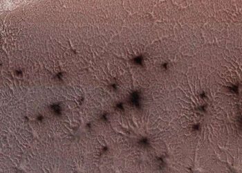 Are there living microbes on Mars? Check the ice