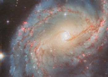 Hubble spies a glowing ‘starburst ring’ | Space photo of the day for Oct. 20, 2025