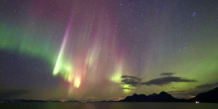 Is an aurora cruise worth it? I joined Hurtigruten’s Signature Voyage to find out