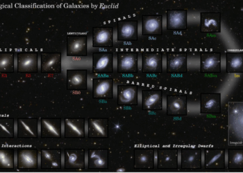 The Euclid space telescope observed 1.2 million galaxies in just 1 year. Here’s what we’ve learned