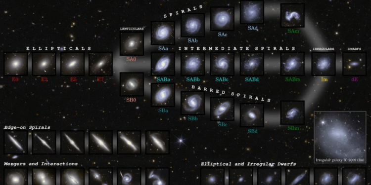 The Euclid space telescope observed 1.2 million galaxies in just 1 year. Here’s what we’ve learned