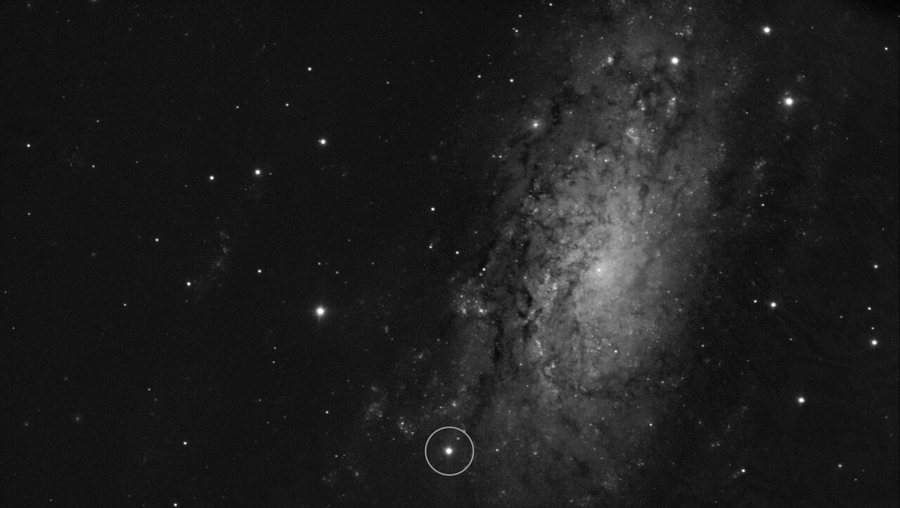 A grayscale image showing a spiral galaxy with a bright dot circled at the bottom where a star exploded into a supernova