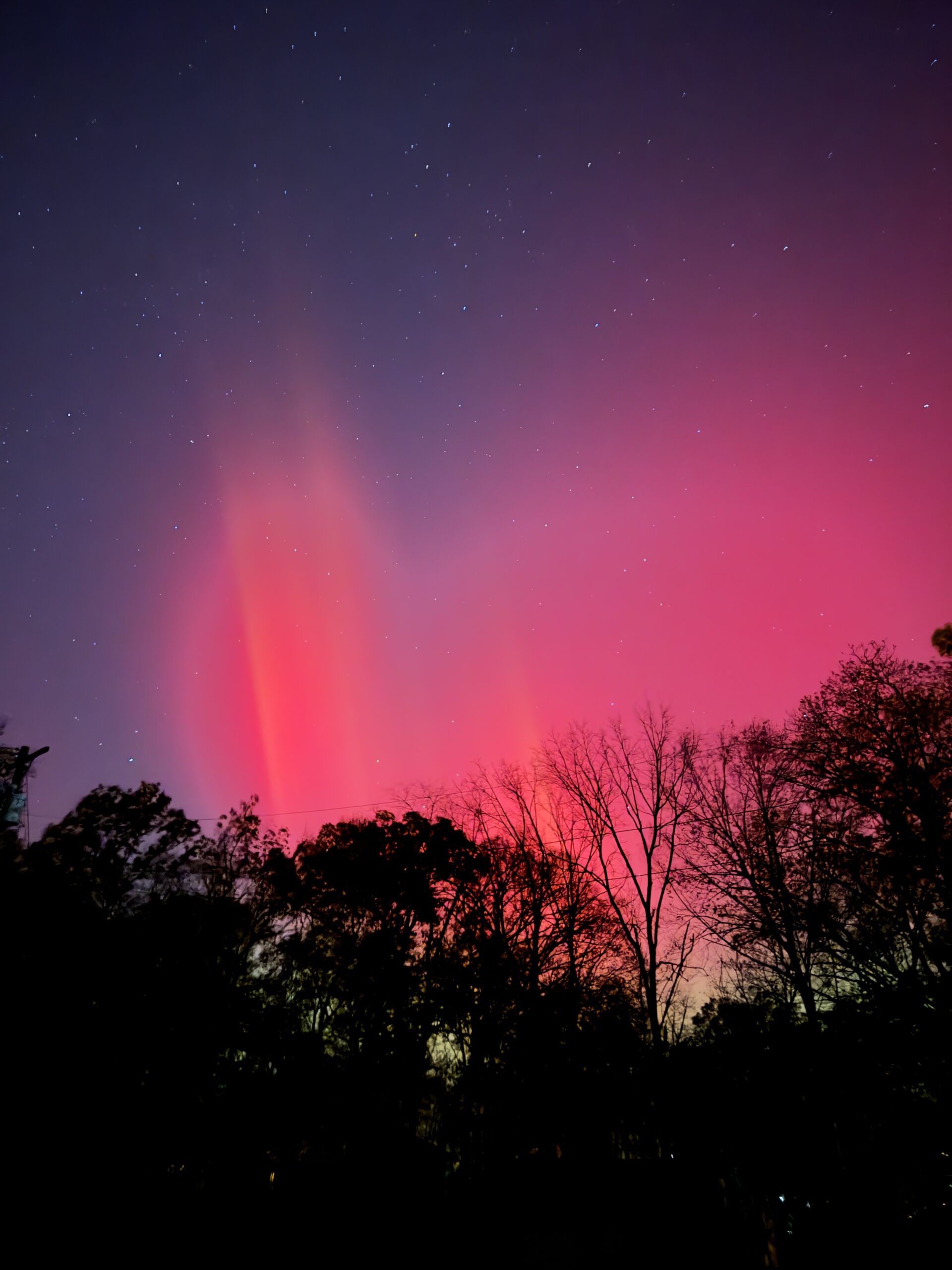 vibrant red auroras filling the sky with trees silhouetted in the foreground.