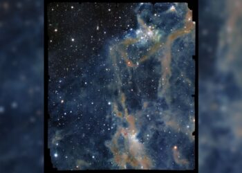 Euclid space telescope sees gorgeous cosmic cloud | Space photo of the day for Nov. 18, 2025