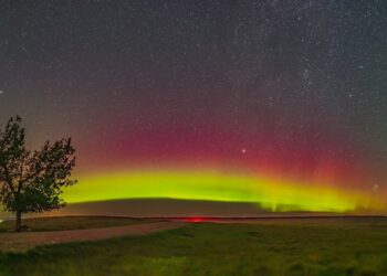How the sun threatens your nuts: Inside the $100 million solar storm peanut problem