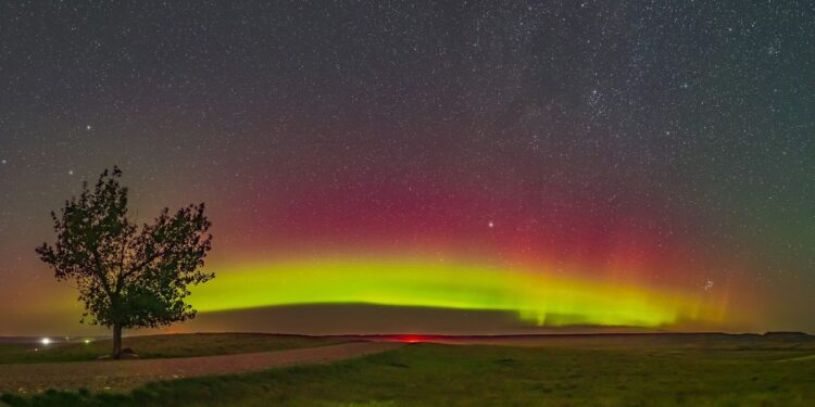How the sun threatens your nuts: Inside the $100 million solar storm peanut problem