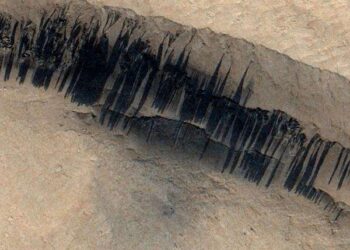Dust and Sand Movements Reshape Martian Slopes