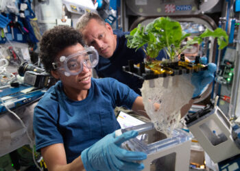 25 Years of Scientific Discovery Aboard the International Space Station