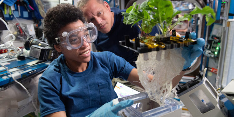 25 Years of Scientific Discovery Aboard the International Space Station