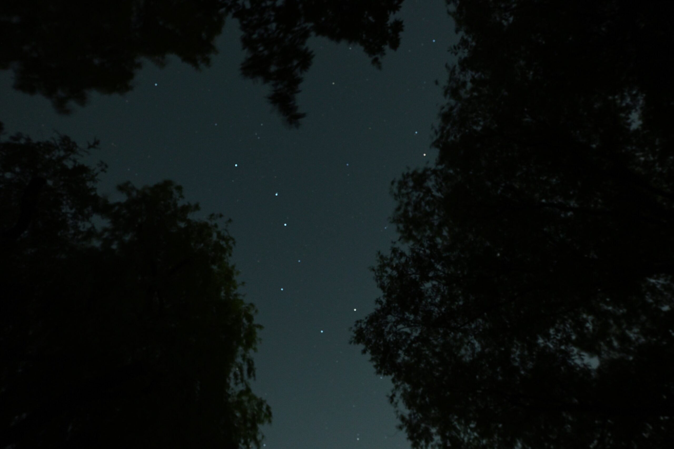 Seven bright stars of Ursa Major taken on the Nikon Z50 II.