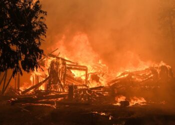 Wildfires are getting more intense around the world due to human-driven climate change