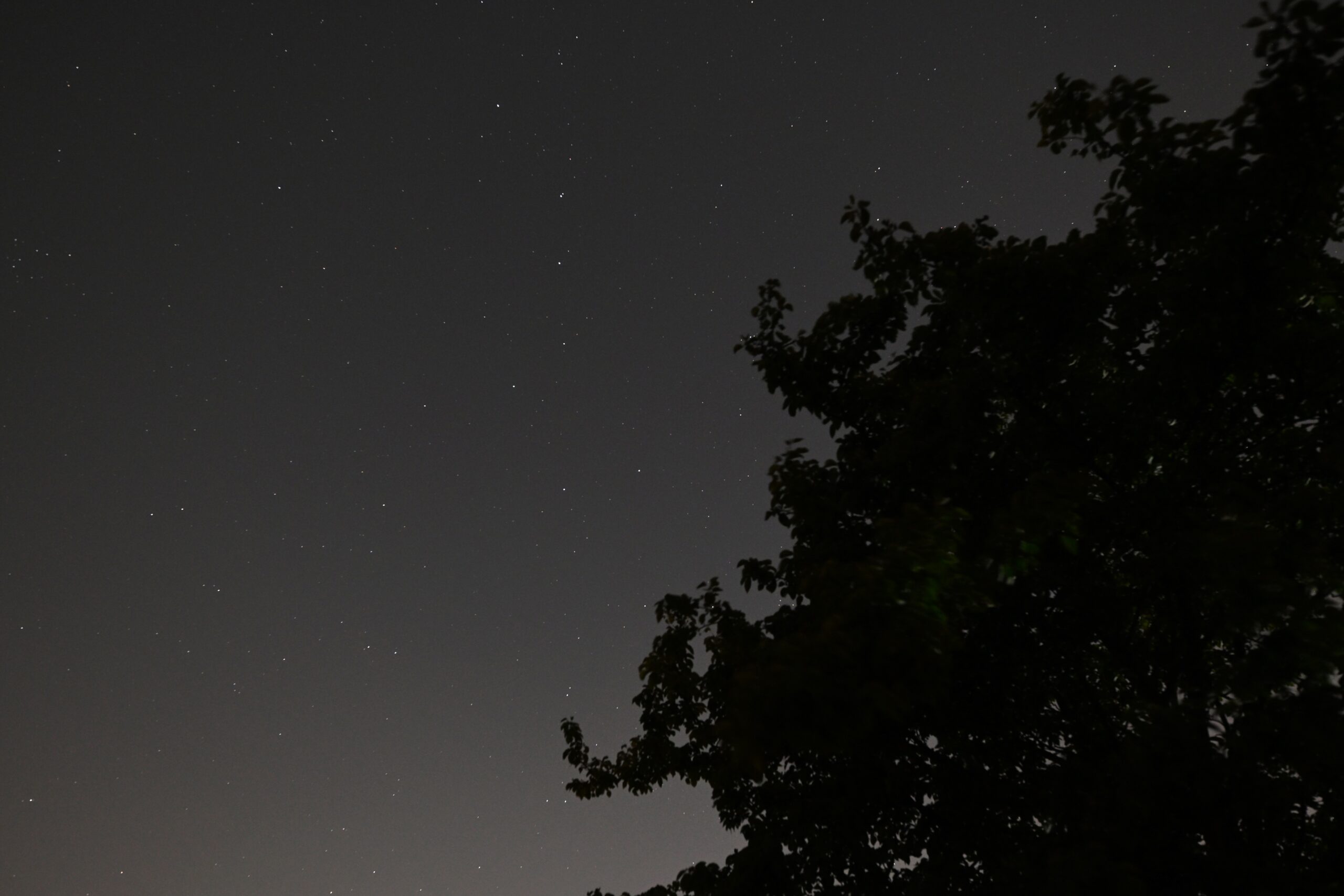 Ursa Major captured on the Nikon Z50 II.