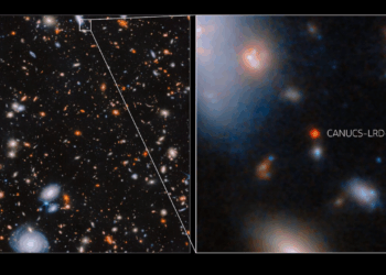 James Webb Space Telescope spots rapidly feeding supermassive black hole in the infant universe: ‘This discovery is truly remarkable.’