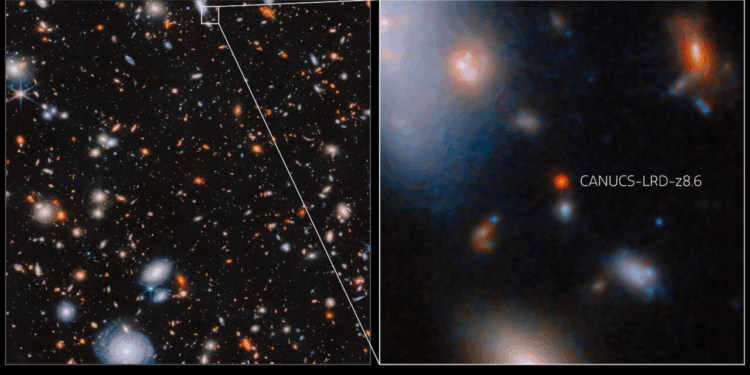 James Webb Space Telescope spots rapidly feeding supermassive black hole in the infant universe: ‘This discovery is truly remarkable.’