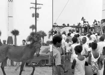 NASA’s Artemis 2 pilot Victor Glover listens to ‘Whitey on the Moon’ every Monday. This is why.