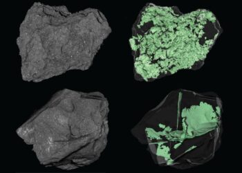 NASA peers inside an asteroid | Space photo of the day for March 19, 2026