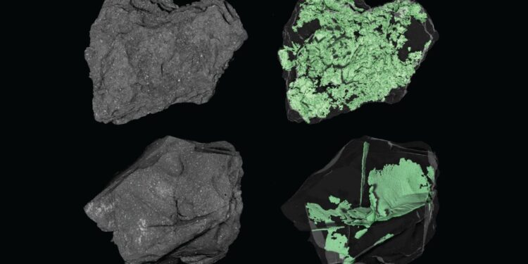 NASA peers inside an asteroid | Space photo of the day for March 19, 2026