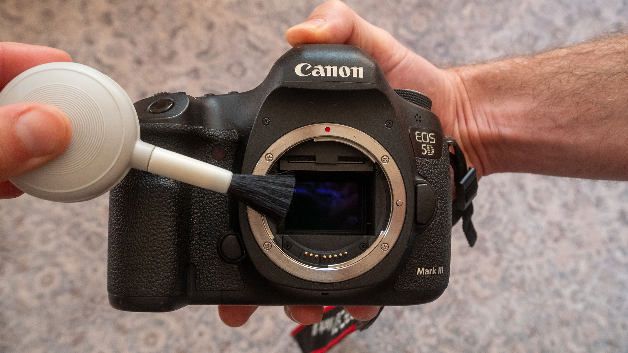 The sensor of a Canon camera being cleaned with a brush.
