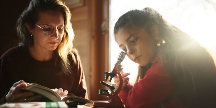 Your cosmic catch: A home guide to identifying and observing meteorite features