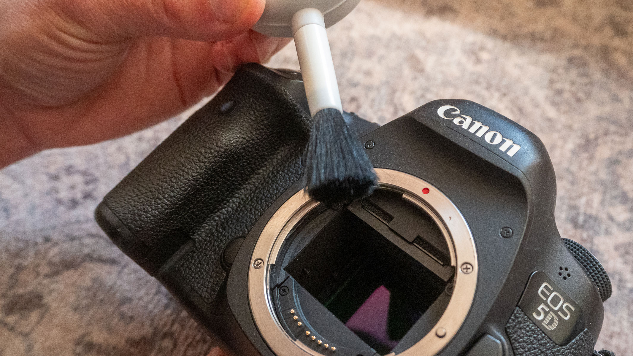 A Canon camera's sensor being cleaned by a brush.