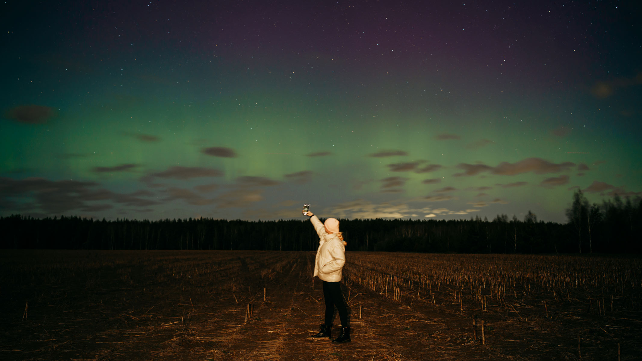 A person stood in a field using a smartphone to capture the aurora.