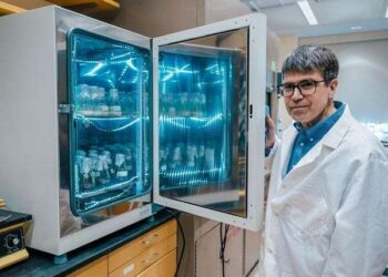 Fungi tested as space building blocks for moon and Mars