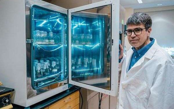 Fungi tested as space building blocks for moon and Mars