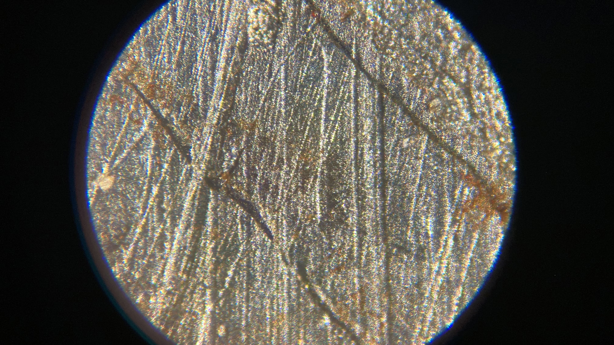 The Widmanst&amp;auml;tten pattern on the Muonionalusta meteorite, under a meteorite, with lines across it.